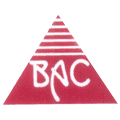BAC Engineers Web Application - twoiq